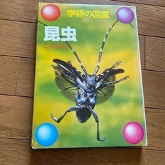 図鑑、昆虫