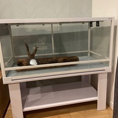 パンテオン9045 ゲージ　爬虫類　小動物