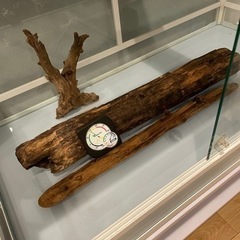 パンテオン9045 ゲージ　爬虫類　小動物