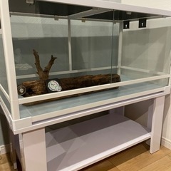 パンテオン9045 ゲージ　爬虫類　小動物