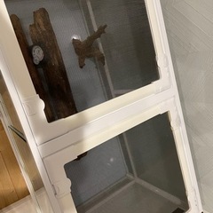 パンテオン9045 ゲージ　爬虫類　小動物