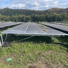 太陽光発電所内の枝、樹木の剪定作業