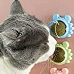 猫　キャットニップ　おもちゃ5個セット