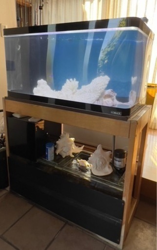 海水水槽