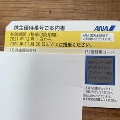 【ネット決済・配送可】ANA 株主優待　700円