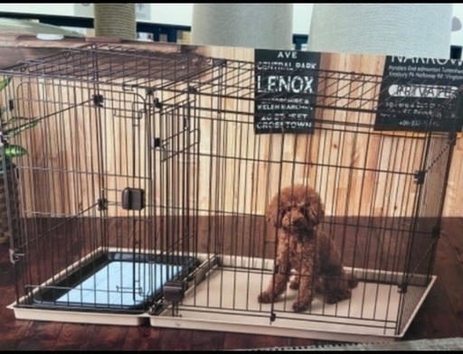 犬用ゲージ　トイレトレイ二個つき