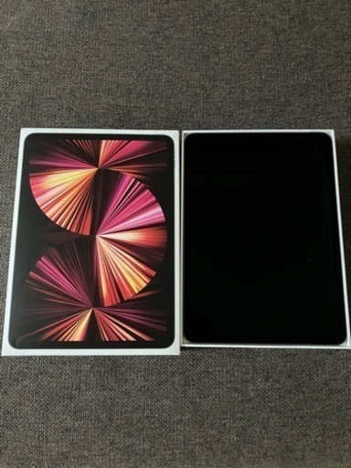 iPad Pro 11inch 256gb Wi-Fiモデル スペースグレイ