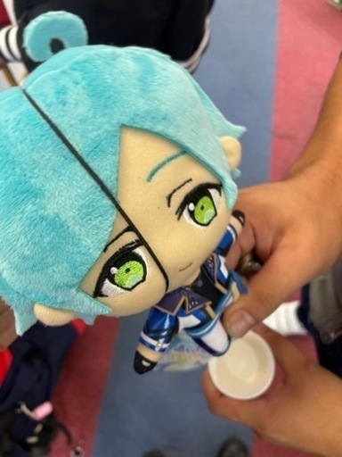 決まりました。ぬい