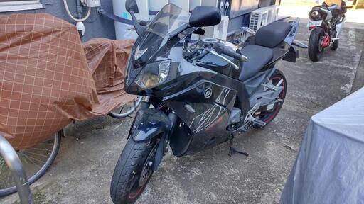 その他 DAELIM VJF250R Roadwin250