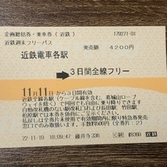 11/13 近鉄フリー切符 1日乗り放題 南海難波駅中手渡し　近鉄線