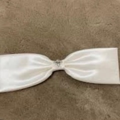 アロヒナモエ　ウェディングドレス　プリンセスライン