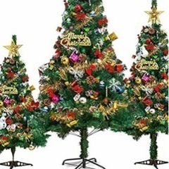 クリスマスツリー探してます。