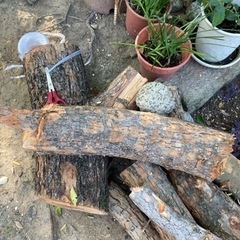 木 木材 薪