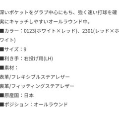 ［新品］野球　グローブ　グラブ　軟式　ザナックス