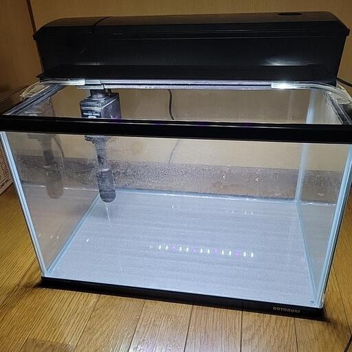 45cm水槽