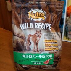ドッグフード nutro wild recipe(ラム)