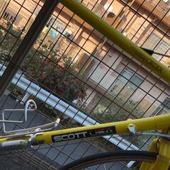 ★値下げしました！早急の取引希望★ロードバイク