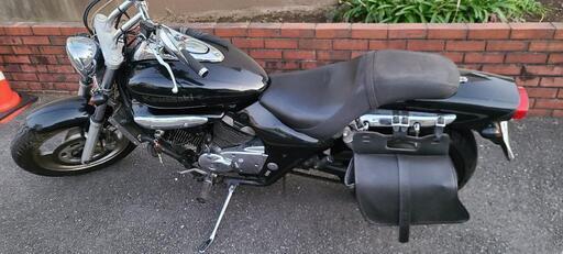 エリミネーター250v