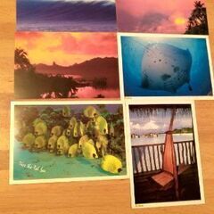 紅海の魚&海外の海の風景　絵葉書　ポストカード 6枚セット