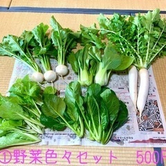 ‼️完売です‼️  ★無農薬野菜★　①野菜色々セット500円　②...