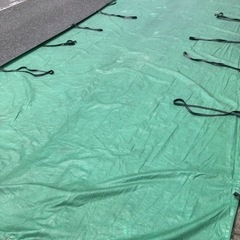 トラックシート2.9×6.5