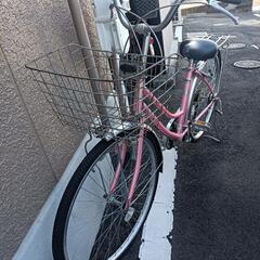 可愛いピンクの自転車（お話し中）