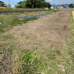 🍆安心　安全な野菜作り　無料　自由参加です。 − 愛媛県