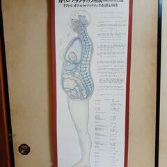 掛け軸【カイロプラクティック療法（特殊調整法）の図】整骨院　整体