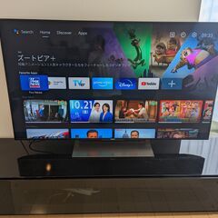 アメリカ購入] SONY BRAVIA XBR-55X900E 2017製