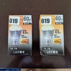 LED電球60W2個　E26