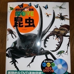 (商談中）昆虫図鑑DVD付き