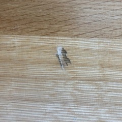 飛驒家具　ダイニングテーブルセット　TJ348