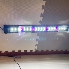 KOTOBUKI（コトブキ） LEDスリム 600 ブラック 6...
