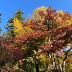 住んでいる町を美しくしませんか？