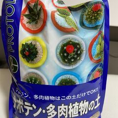 多肉植物用の土