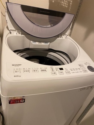 今週まで出品】sharp シャープ 洗濯機 es-tx8e 8.0kg-
