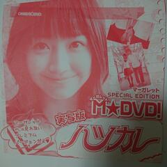 【ネット決済・配送可】ハツカレー DVD 2006年当時
