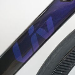 GIANT「ジャイアント」LIV LANGMA ADVANCED PRO2 DISC 2020年モデル ロードバイク