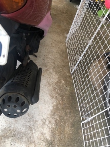 お引き渡し予定者様決定済み※ホンダ デュオ ワインレッド 訳あり格安出品