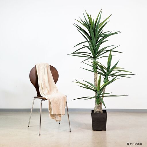 ①【処分価格】サイザルアサ 160cm 人工観葉植物 インテリア フェイクグリーン 癒し 誕生日 結婚記念日 おしゃれ