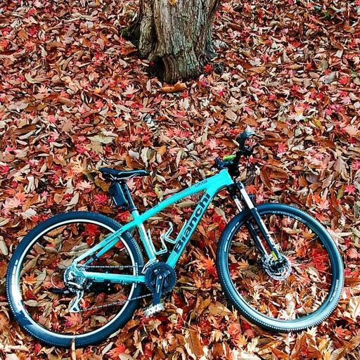 ビアンキ マウンテンバイク 付属品多数）ビアンキm0015マウンテン