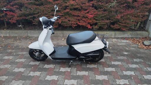 再投稿しました。 af61トゥデイ、ホワイト、カスタム車、カウル新品、キビキビ走ります。ウーバー、通勤、通学、カスタムベースに 再投稿しました。 af61トゥデイ、ホワイト、カスタム車、カウル新品