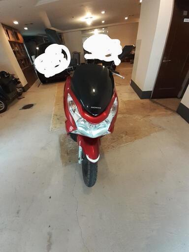 PCX125（JF28）珍しいツートンカラー(マグナ250\u0026TW200等250cc以下交換希望)