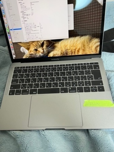 MacBookPro2017 充放電回数50未満