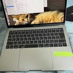 MacBookPro2017 充放電回数50未満