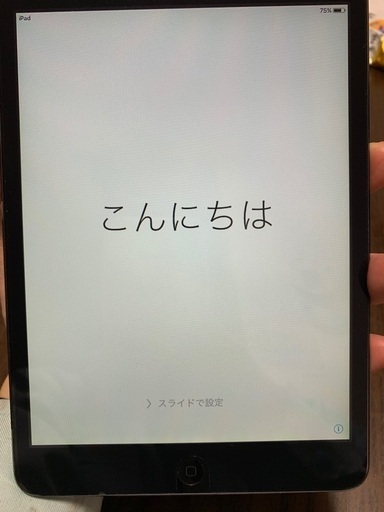 iPad mini Wi-Fi 64GB ブラック MD530J/A