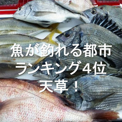 和食調理師｜月収３０万｜家具付き寮５千円｜３食賄い付き｜サウナ・温泉無料｜熊本県天草市へ移住｜ノーストレス！ - サービス業