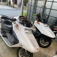 バイク仲間募集‼️