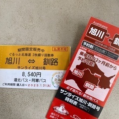 旭川⇄釧路　往復バスチケット