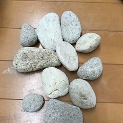 軽石、海の物です。かかとの角質取りにどうですか？